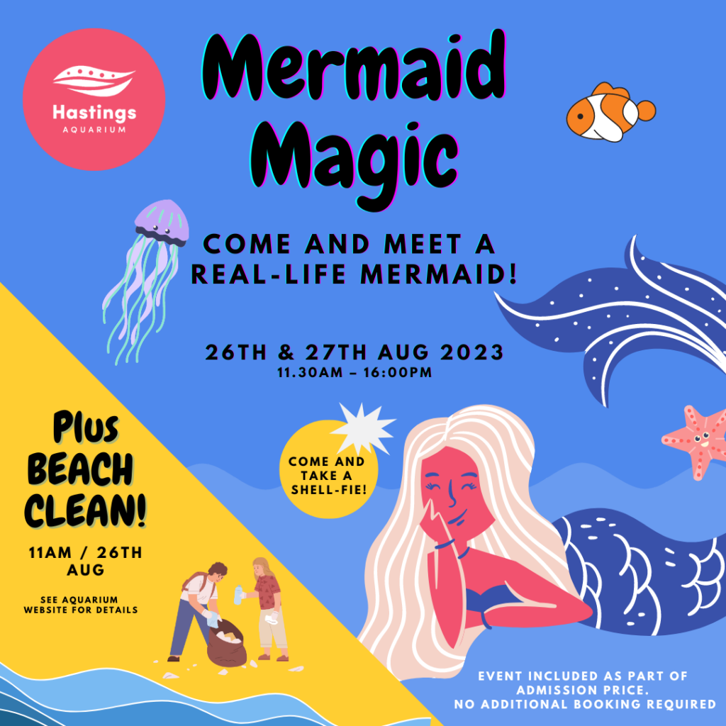 Meet a Mermaid this Summer Holiday