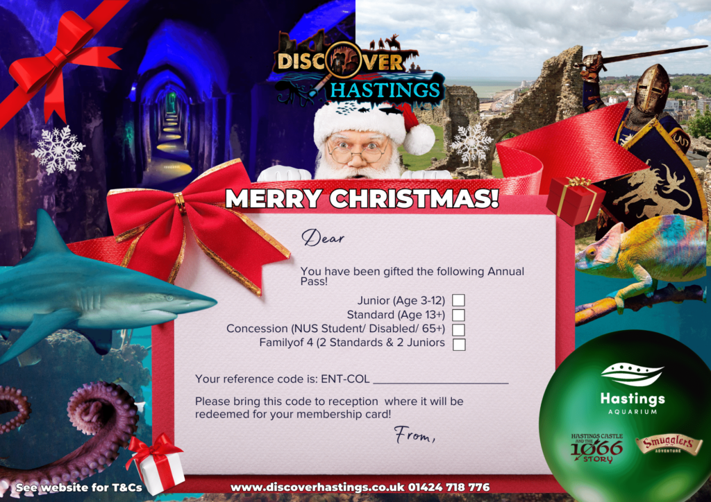 Discover Hastings Annual Pass Gift Voucher- CHRISTMAS
